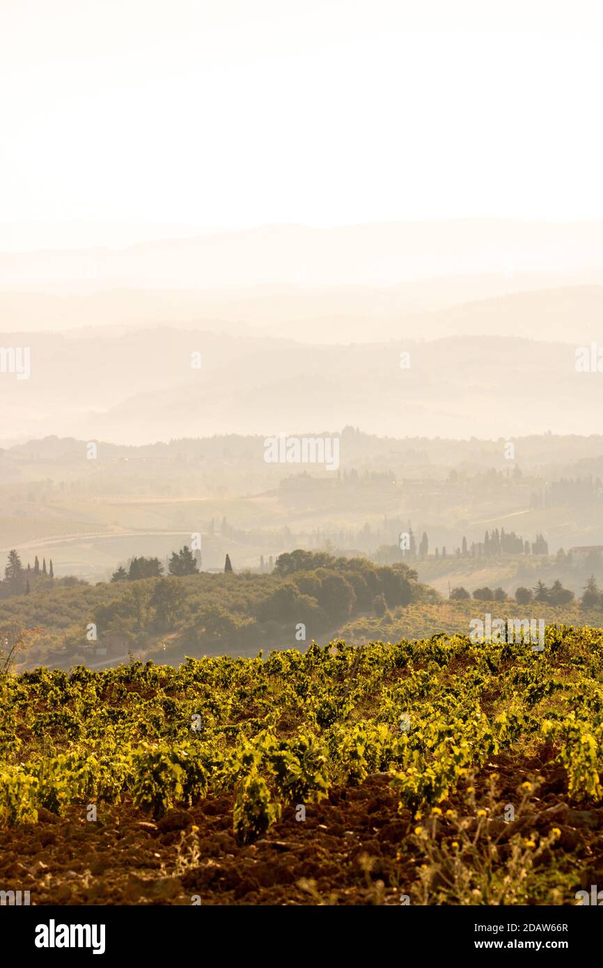 Campagna idilliaca in Toscana, Italia Foto Stock