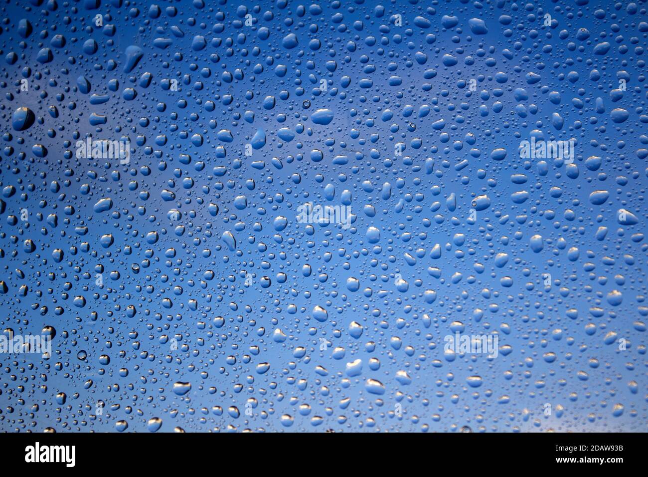 La pioggia cade su un finestrino. Modello astratto naturale. Sfondo blu cielo. Messa a fuoco selettiva. Foto Stock
