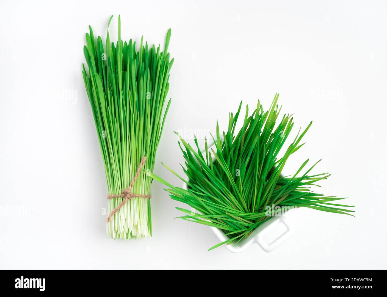 Erba di grano verde su sfondo bianco. Foto Stock