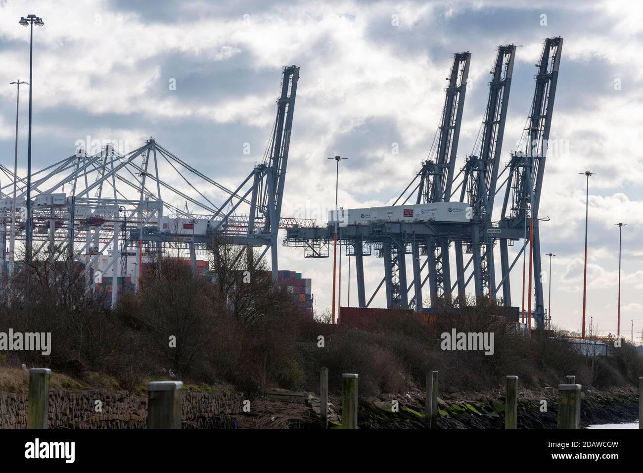 Le gru del Southampton Container Port dominano lo skyline che si affaccia dal Redbridge Wharf Park, Southampton, Inghilterra, Regno Unito Foto Stock