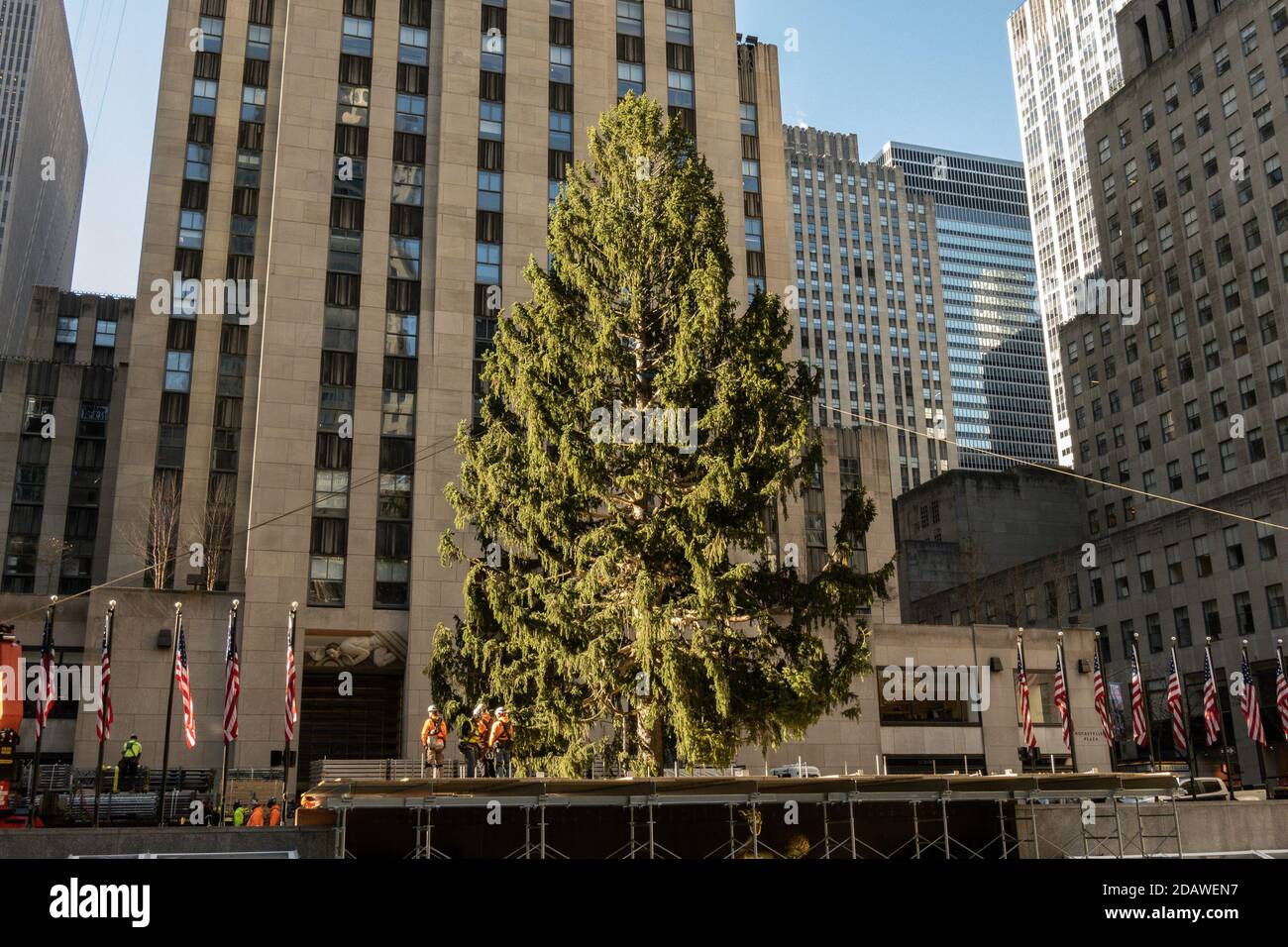L'iconico albero di Natale arriva al Rockefeller Center appena in tempo per le festività natalizie, New York City, USA 2020 Foto Stock