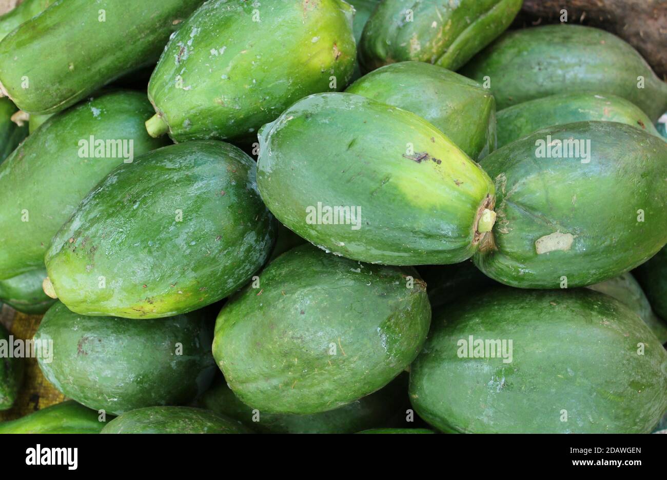 Carica papaya, molti di colore verde papaya fresco nel mercato delle verdure con sfondo papaya. Foto Stock