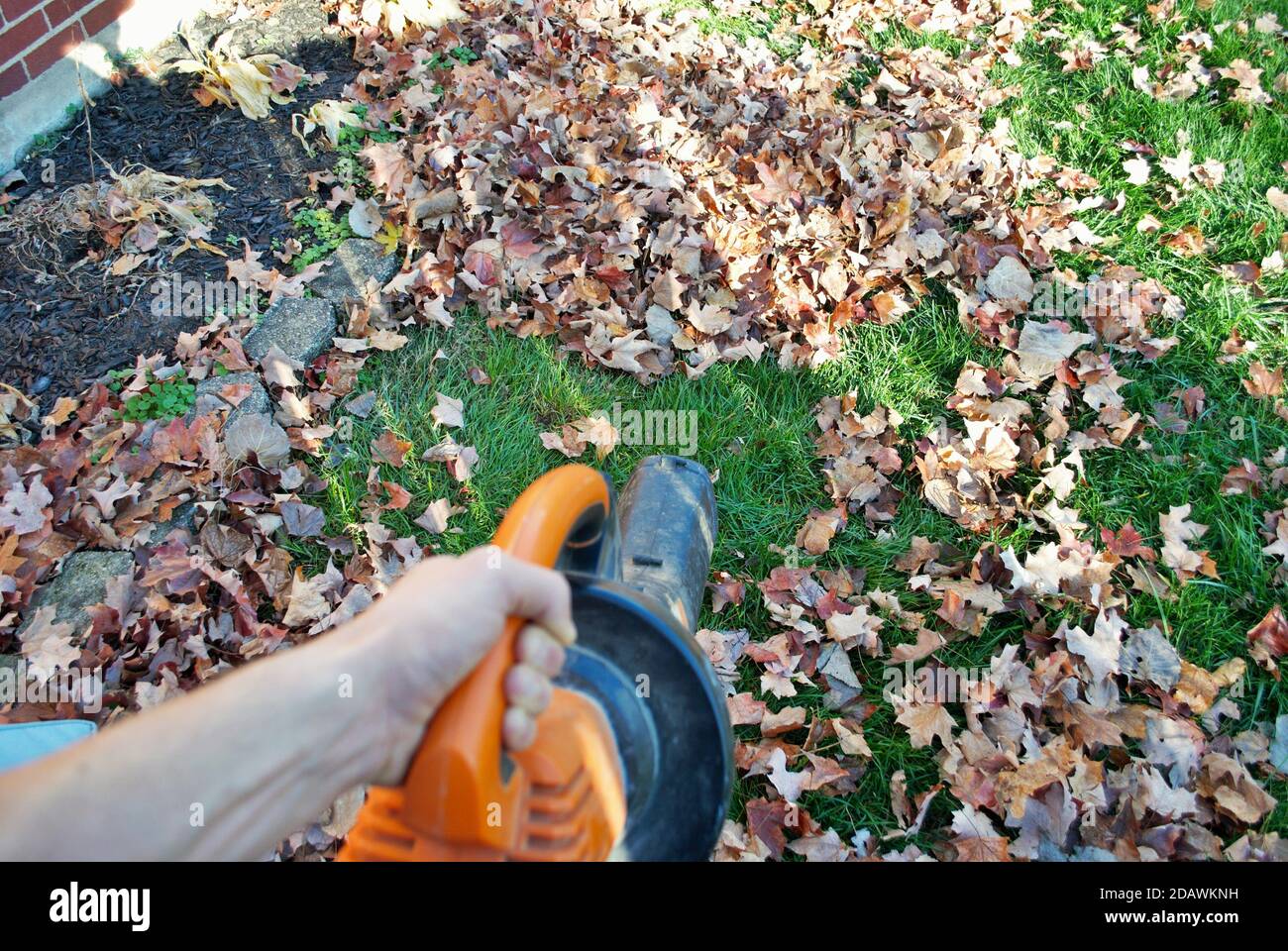 Punto di vista di una persona che utilizza una soffiante a balestra in autunno Foto Stock