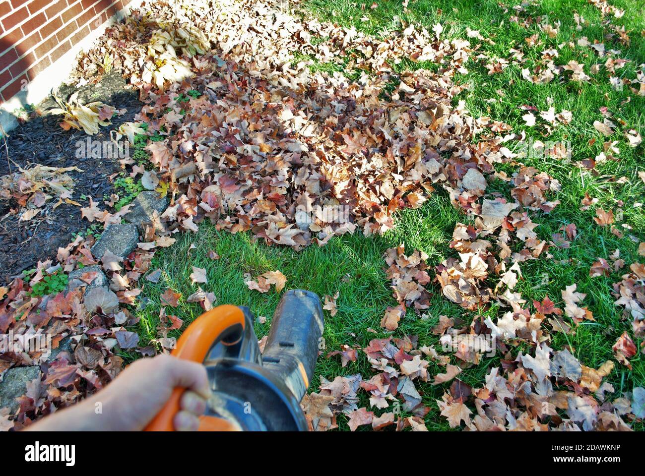 Punto di vista di una persona che utilizza una soffiante a balestra in autunno Foto Stock