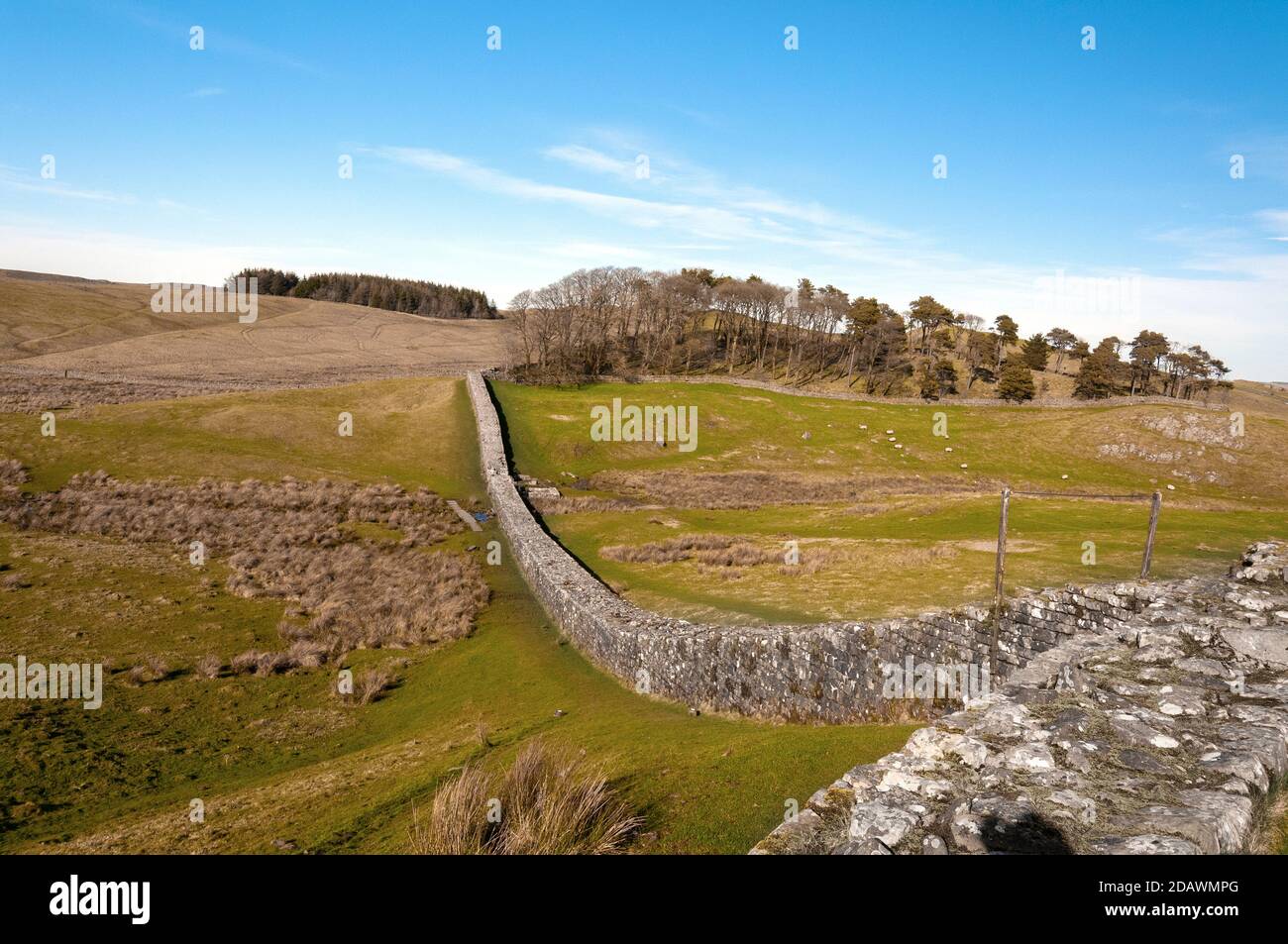 Il Muro di Adriano che i Romani costruirono un muro costa-costa per proteggere l'Inghilterra romana dalle tribù che vivevano in Scozia. Foto Stock