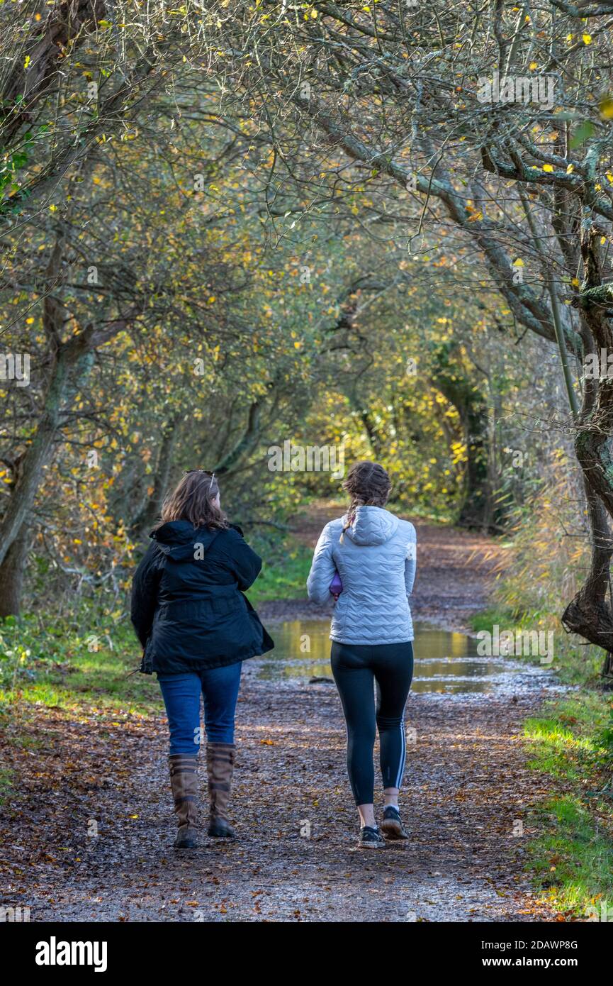 Traina le giovani donne attraenti che camminano nel bosco insieme lungo una pista che cammina e che parlano di outfit sportivi. Foto Stock