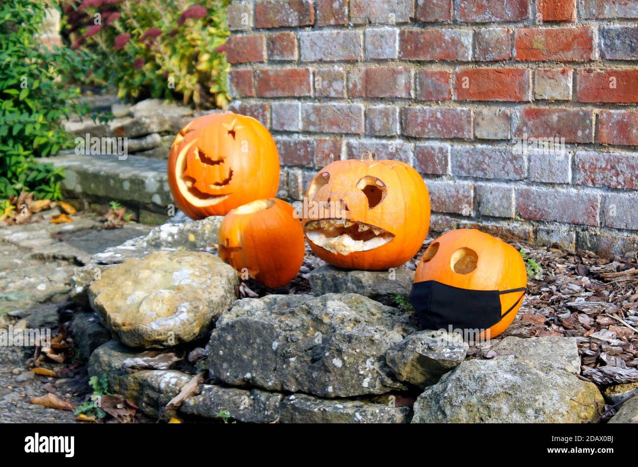 Gruppo intagliato e decorato di zucche di Halloween con maschera Covid protezione Foto Stock