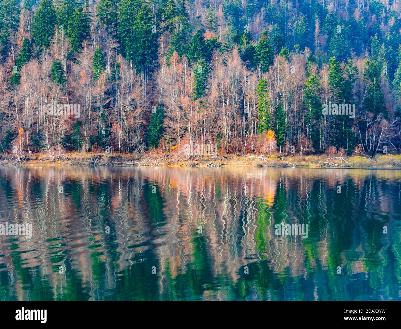 Splendida e serena riflessione sul lago Autumnal con un accenno di prima Mattina Dribble onde Lokve lago Lokvarsko jezero in Croazia Europa Foto Stock