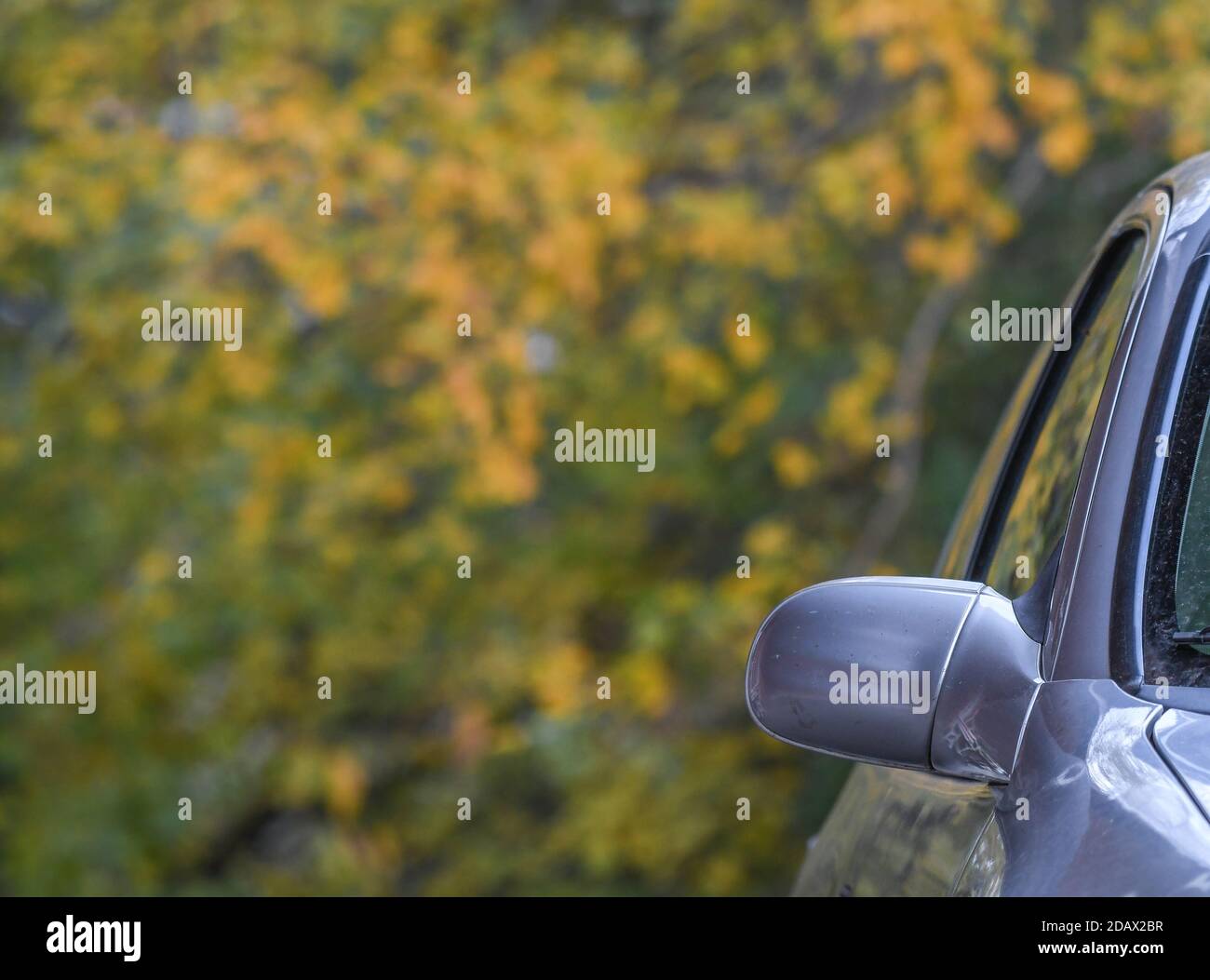 Specchietto retrovisore di un'auto con alberi autunnali in lo sfondo Foto Stock