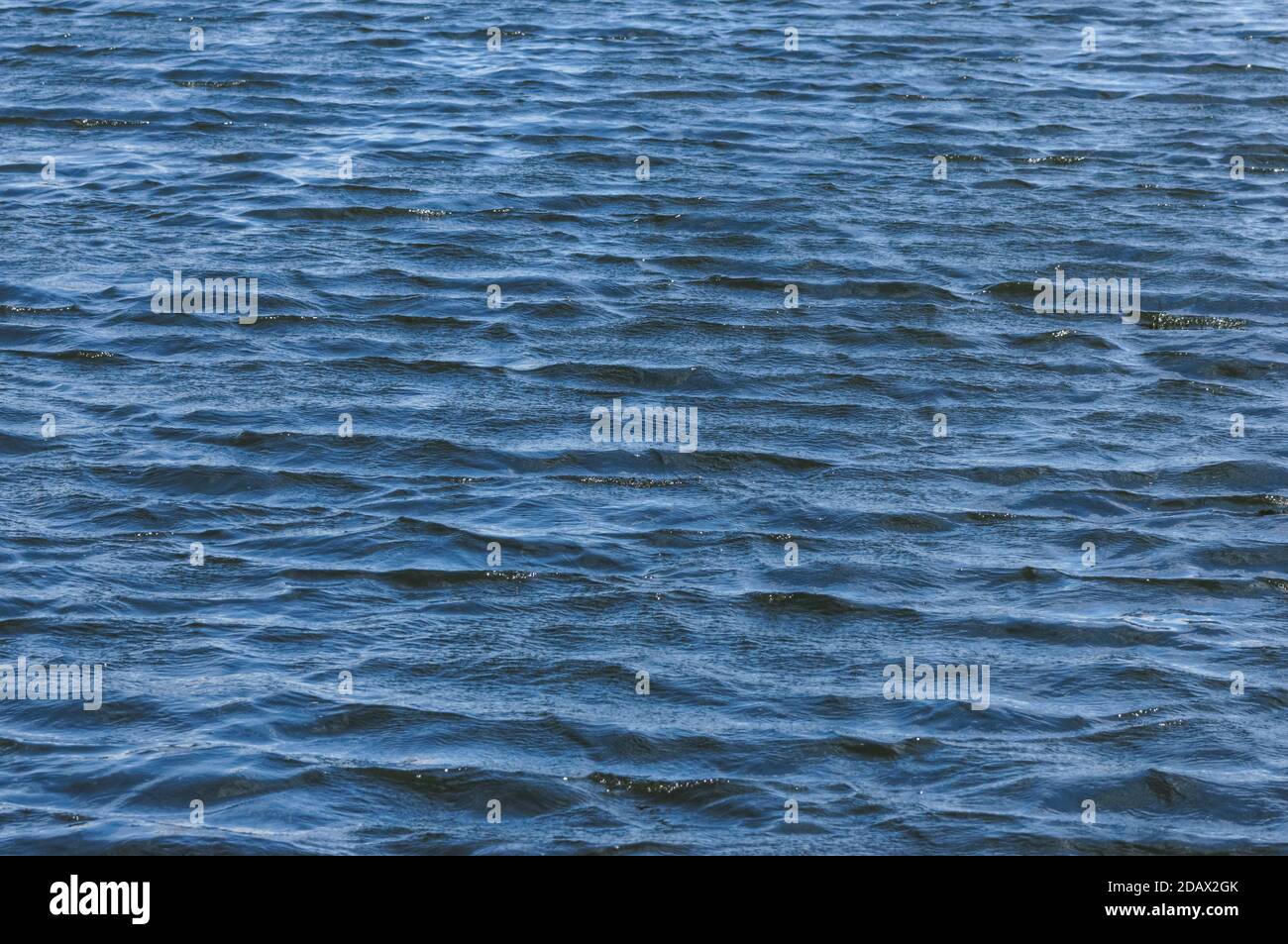 Increspature sulla superficie blu dell'acqua in giornata ventosa Foto Stock