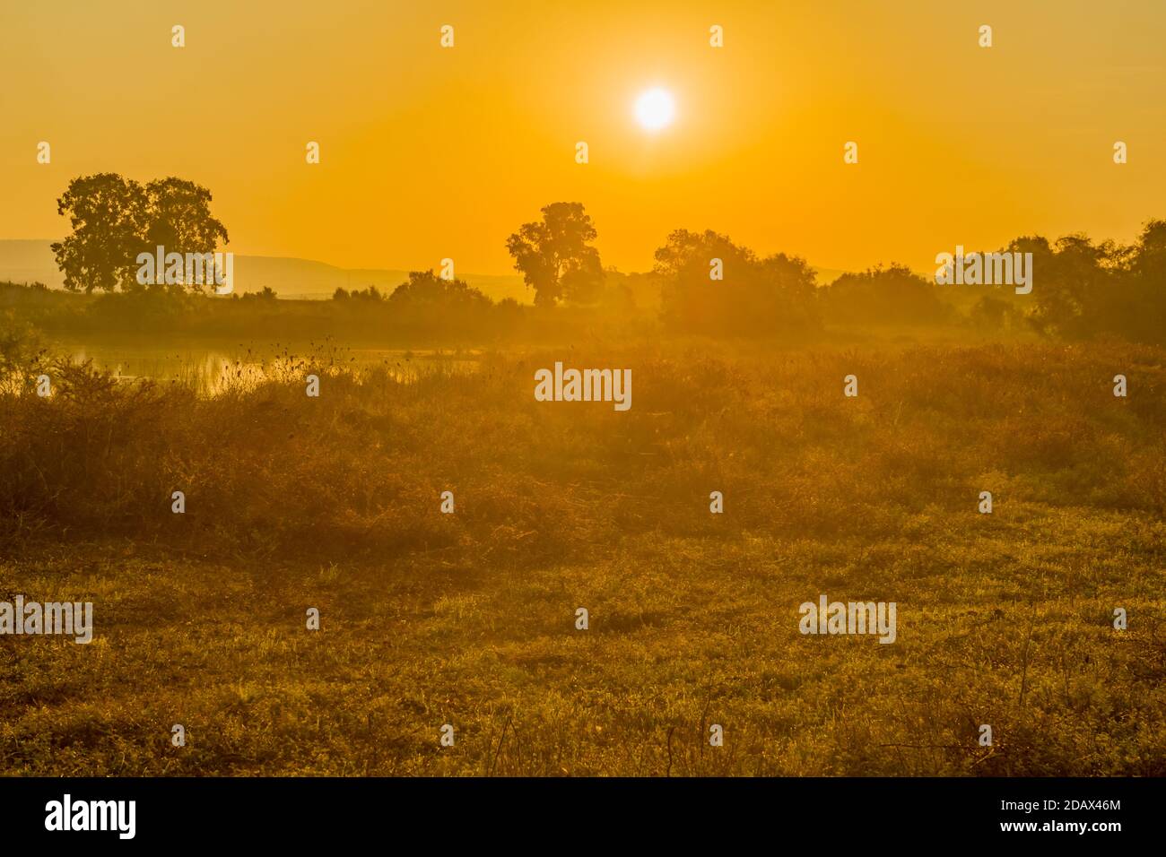 Vista dell'alba sulla zona umida, nella riserva naturale di en Afek, Israele settentrionale Foto Stock