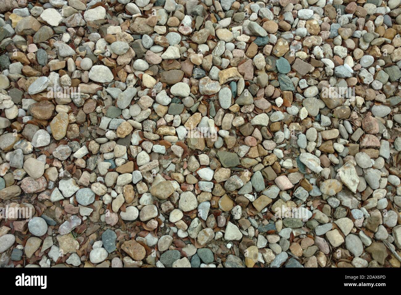 vista ravvicinata di una ghiaia di pietra sentiero giardino cortile sentiero adatto per sfondo anche come un parco pedonale che presenta Foto Stock