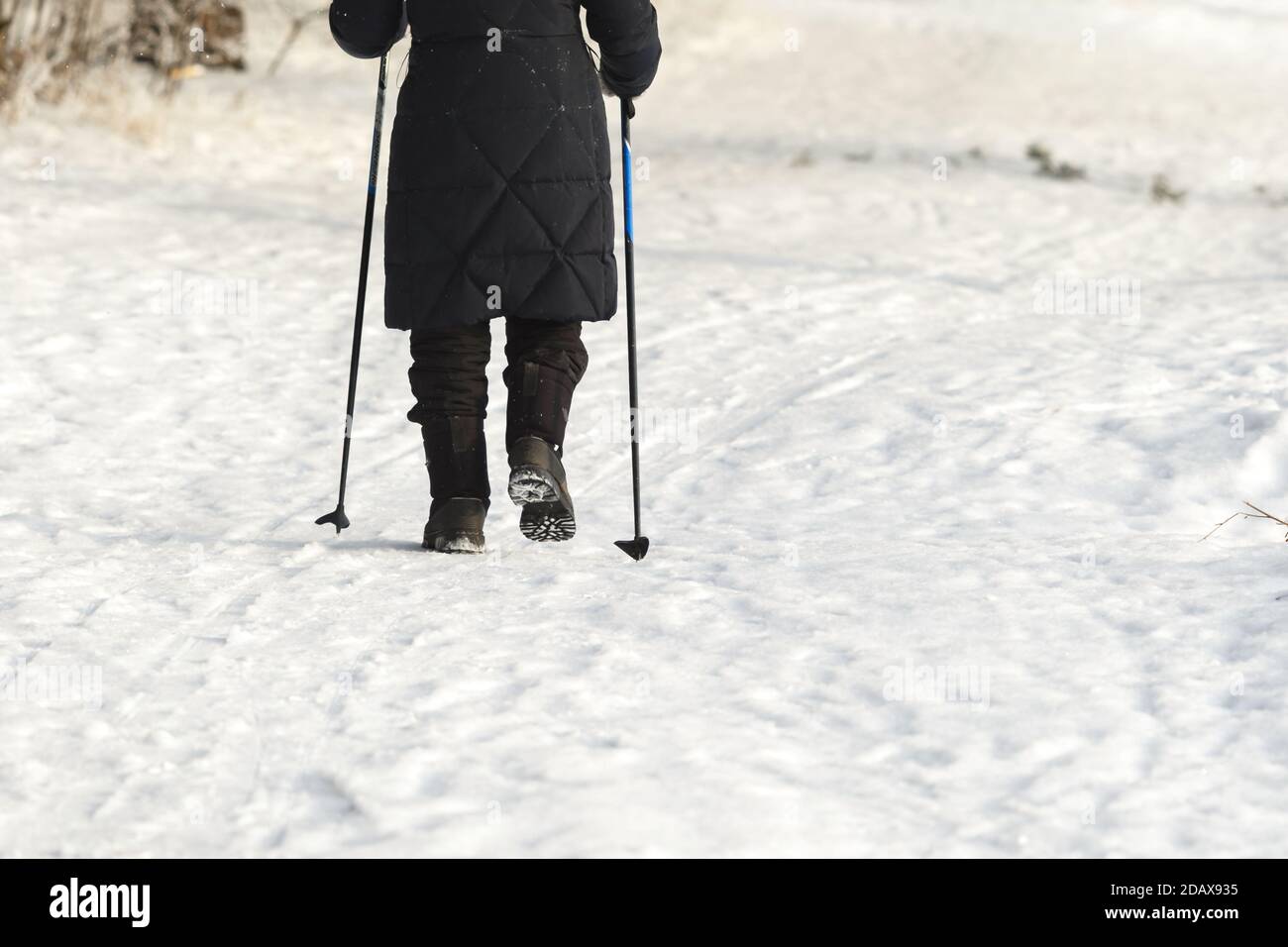Nordic walking con bastoni nella foresta in inverno Foto Stock