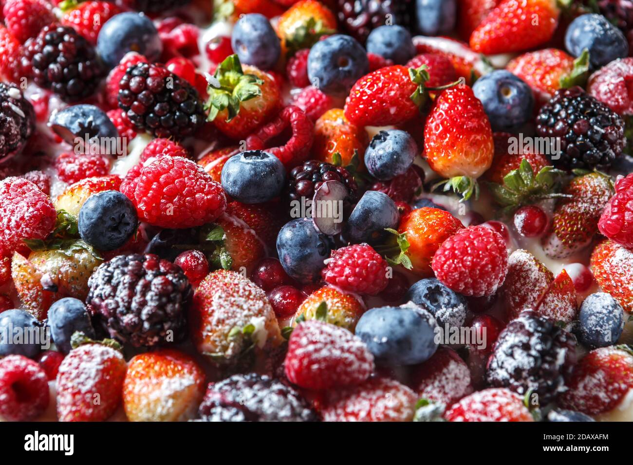 Mescolare le bacche fresche cosparse di zucchero in polvere da vicino Foto Stock