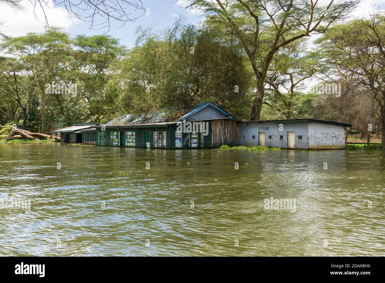 Diversi edifici parzialmente sommersi a causa dell'aumento dei livelli d'acqua, il lago Naivasha, Kenya, Africa orientale Foto Stock