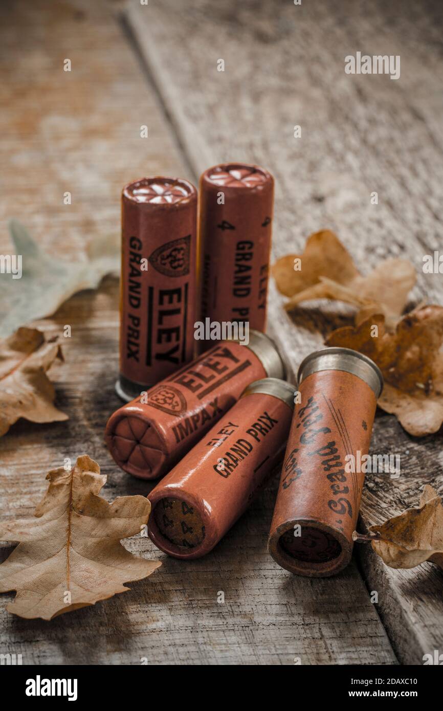 Old Eley Grand Prix e Impax 12-gauge cartucce di carta incartata fucile caricato con colpo di piombo. Da una collezione di cimeli sportivi. Inghilterra GB Foto Stock