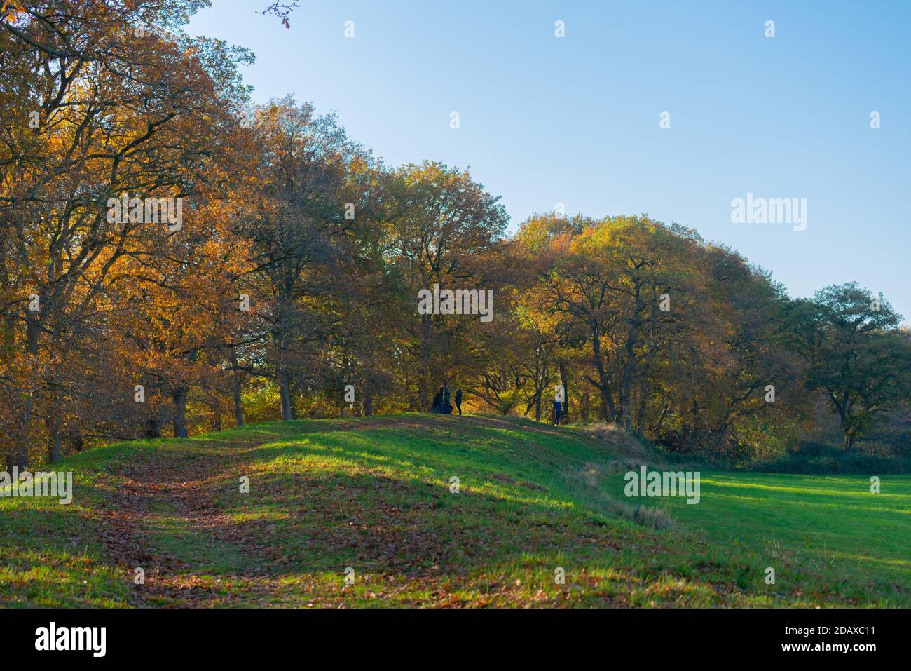 Muro di terra intorno alla storica Haithabu, Busdorf vicino a Schleswig, Haddeyer Noor, Regione Schlei, Schleswig-Holstein, Germania del Nord, Europa Foto Stock