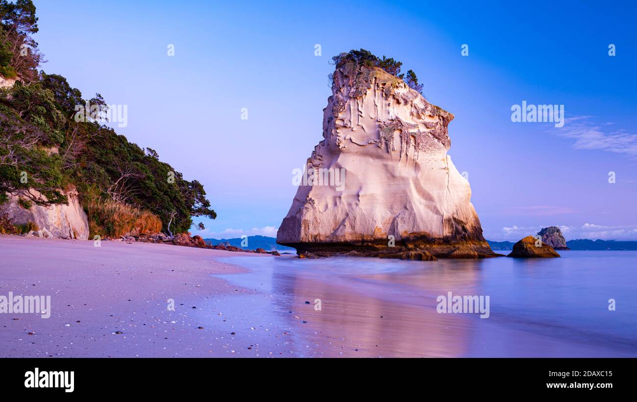 Mattina a Cathedral Cove vicino a Hahei, Nuova Zelanda Foto Stock