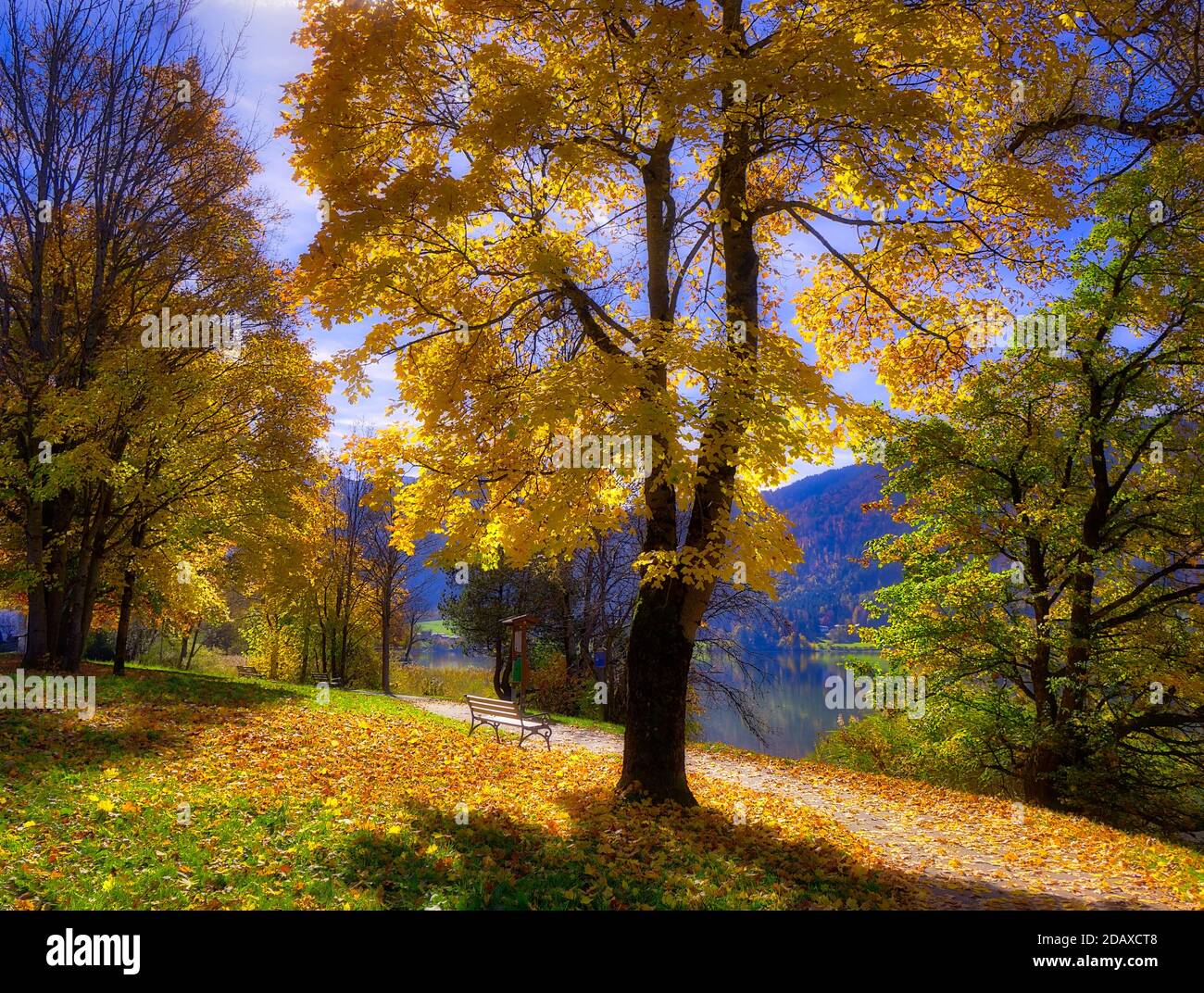 DE - BAVARIA: Autum lungo il Lago di Schliersee Foto Stock