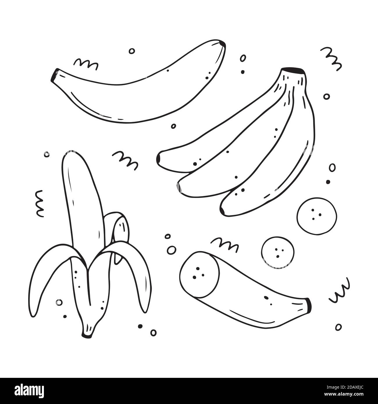 Set di frutta a banana disegnata a mano. Doodle illustrazione dello stile della linea di schizzo per la dieta, il cibo sano, la natura mangia il disegno. Illustrazione Vettoriale