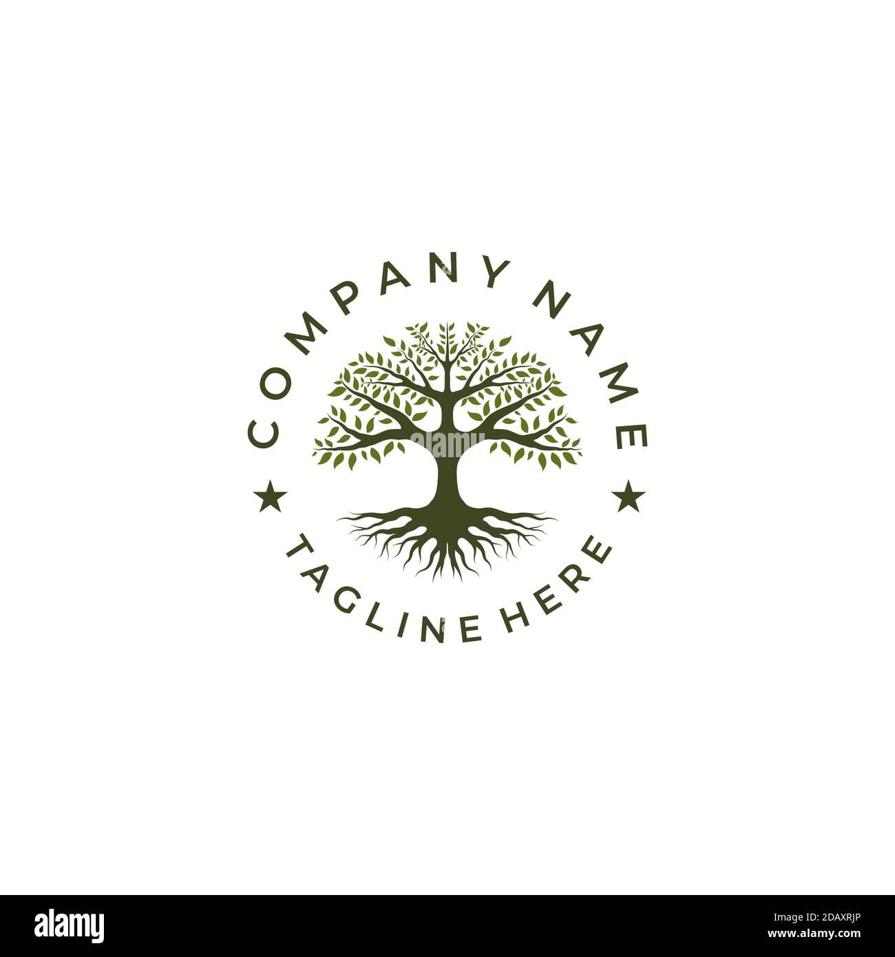 Albero della Vita timbro emblema della guarnizione Oak Banyan logo design  tamplate Immagine e Vettoriale - Alamy