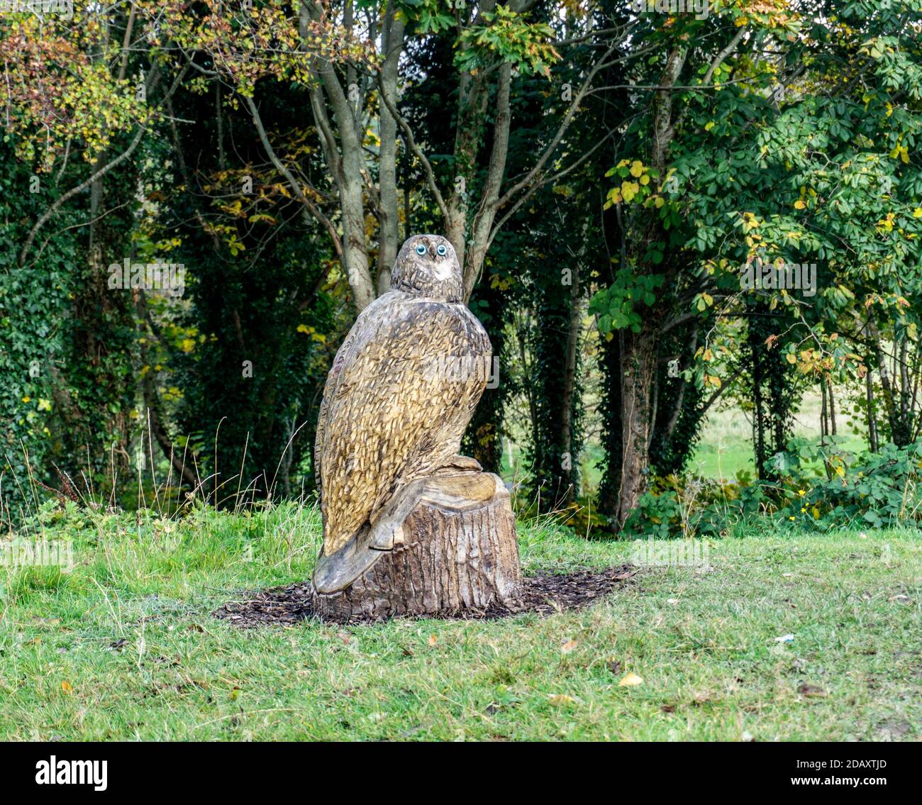 Palmerstown, Dublino, una scultura in legno di un gufo che accoglie i visitatori del Waterstown Park a Palmerstown, Dublino, Irlanda. Foto Stock