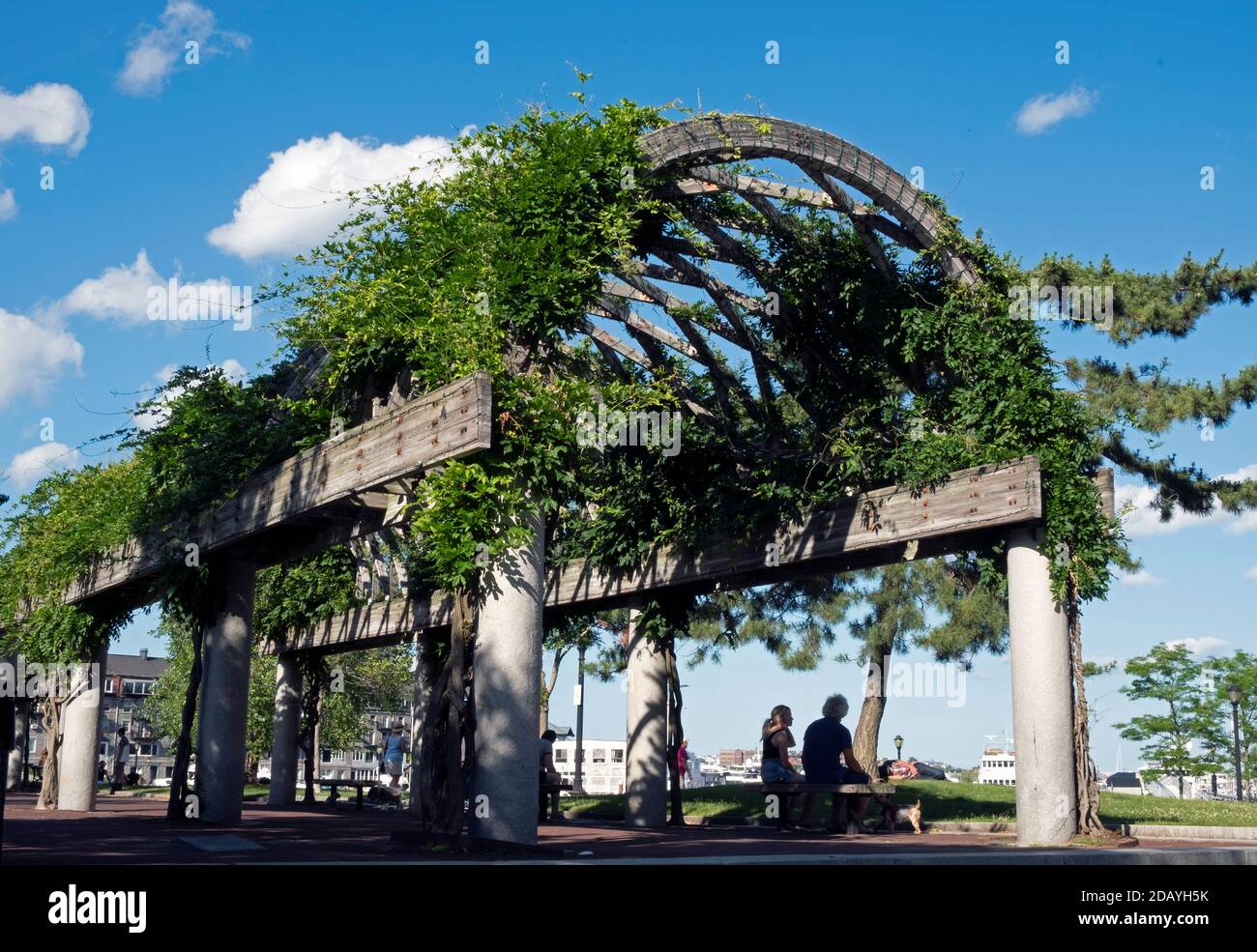 Wisteria Arch by Boston's Marriot Hotel sul molo di Longwharf, Boston, ma, Stati Uniti. Foto Stock