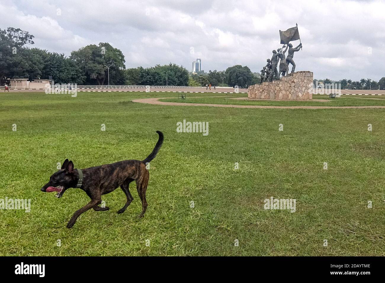 Bolt, un cucciolo di pastore olandese di 11 mesi, riceve un addestramento specializzato dal caporale Herbert Nangoli (primo piano) per trovare esplosivi. Foto Stock