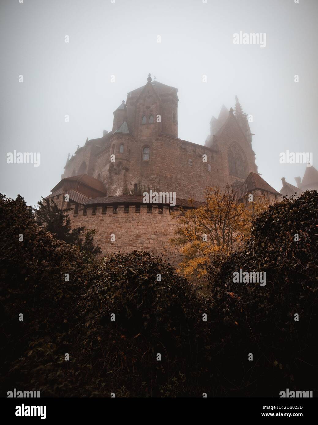 Castello Kreuzenstein in Austria durante l'autunno in una mattina foggy Foto Stock