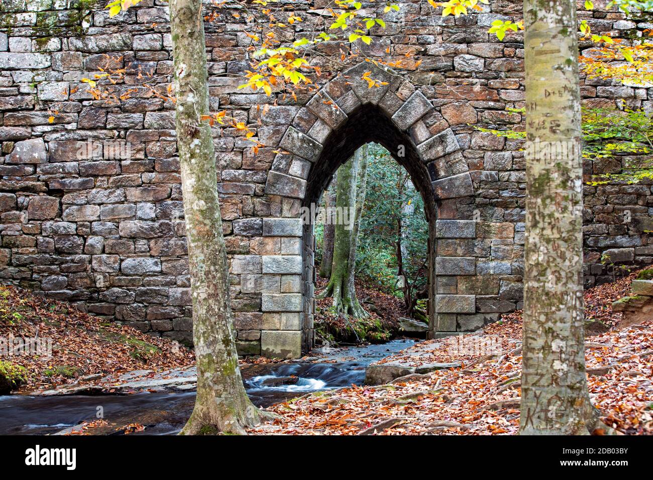 Poinsett Bridge Over Little Gap Creek - Poinsett Bridge Heritage Preserve - Travelers Rest, near Greenville, South Carolina, USA [completato nel 1820, s Foto Stock