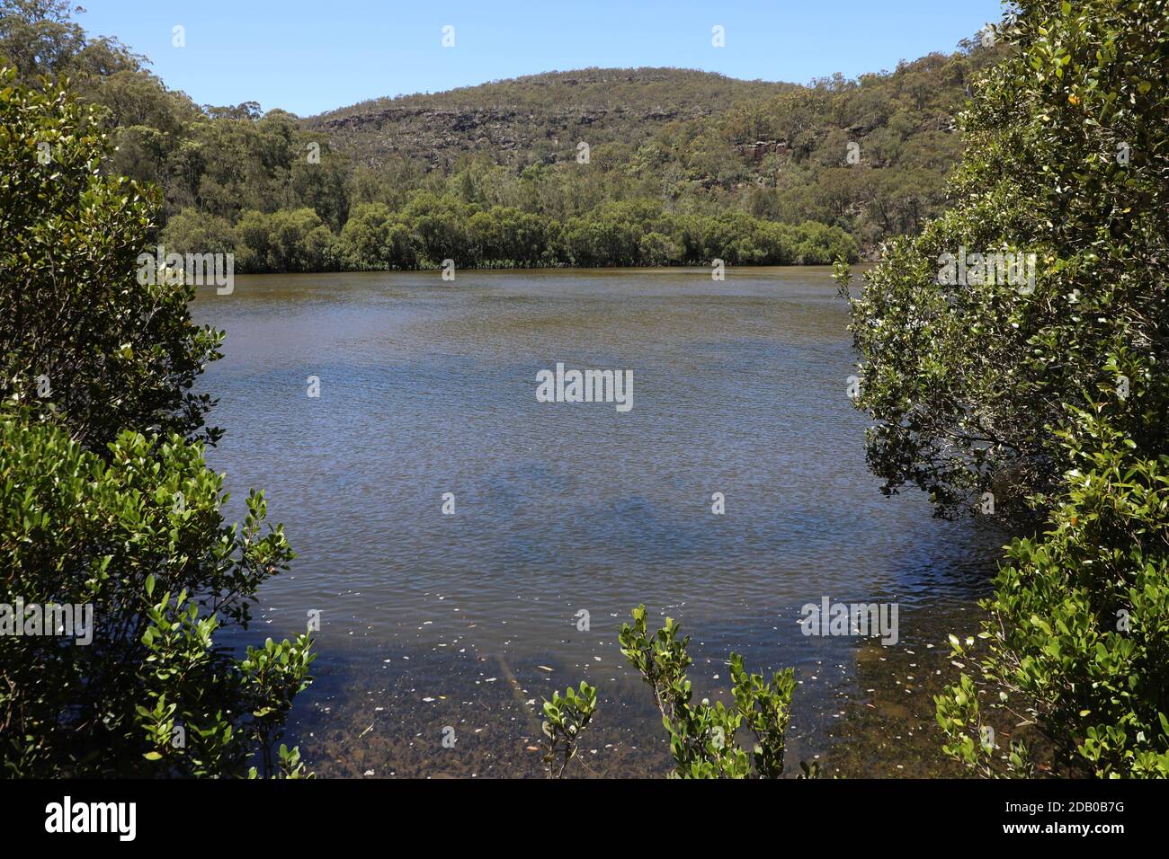 Berowra Creek, Berowra Valley National Park Foto Stock