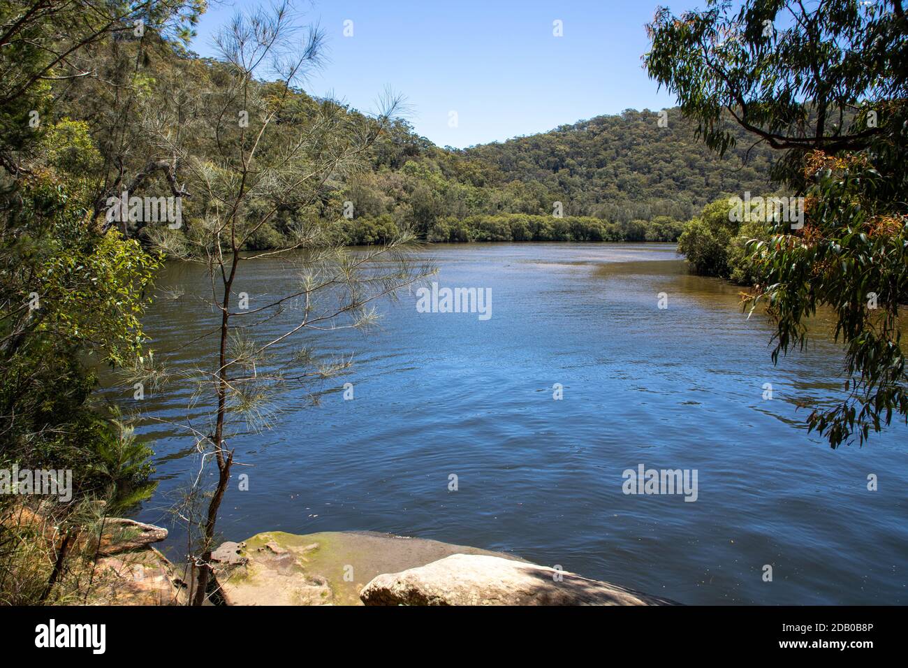 Berowra Valley National Park, Sydney, NSW, Australia Foto Stock