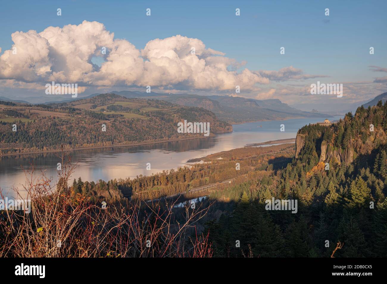 Cambiamenti stagionali colori autunnali nella natura Oregon stato. Foto Stock