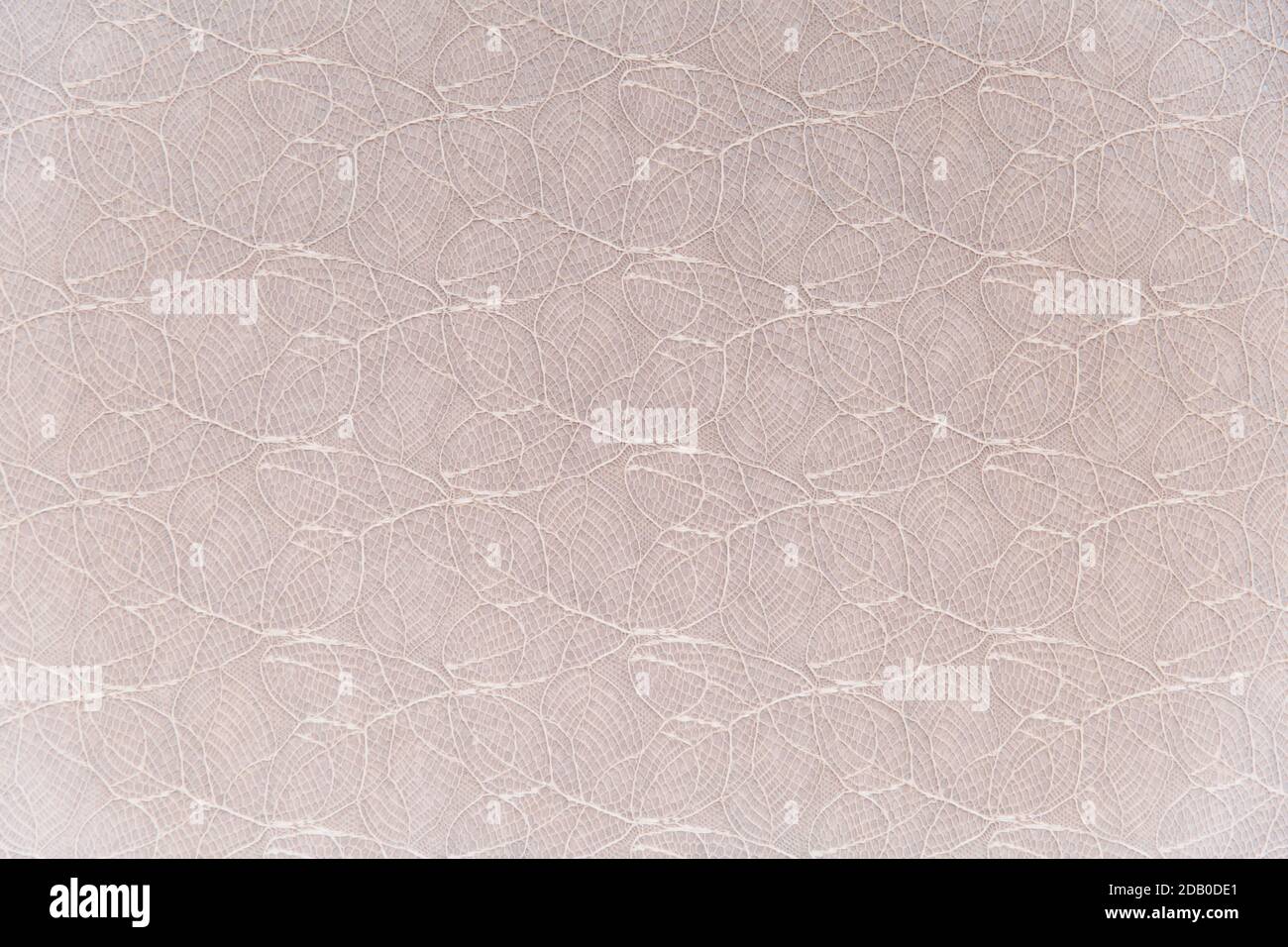Grana carta delle foglie. Astrazione moderna. Sfondo Foto Stock