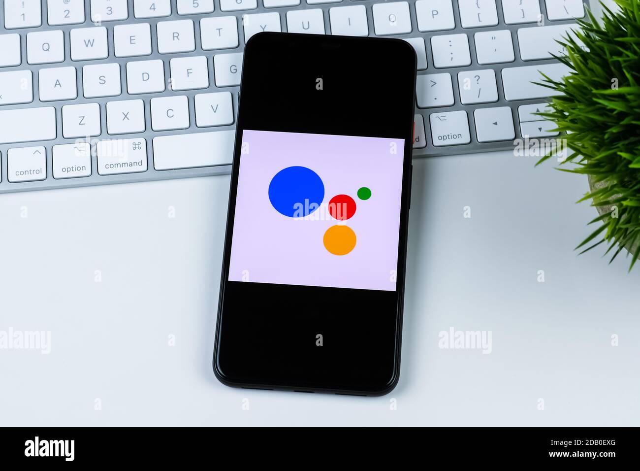 Logo dell'app Google Assistant sullo schermo di uno smartphone. Foto Stock