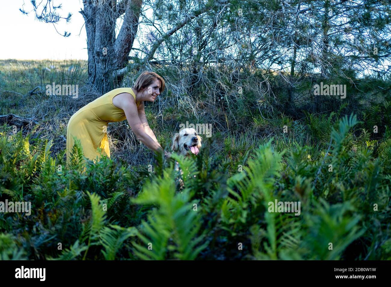 Bionda signora che ama il suo cane Golden Retriever nella foresta Foto Stock
