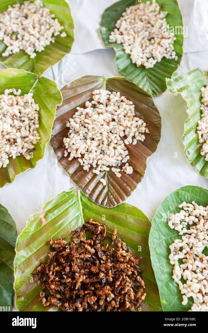 Uova di ANT verde crudo su foglie verdi in un mercato locale vicino alla Thailandia e al confine con il Laos. Disposizione piatta. Vista dall'alto. Primo piano. Messa a fuoco selettiva. Foto Stock