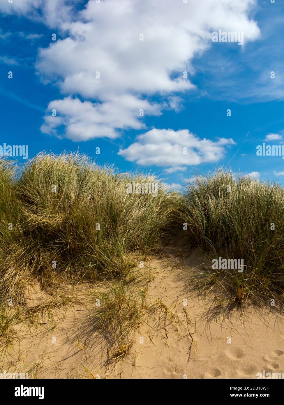 Dune di sabbia sulla spiaggia di Holkham Bay, nel nord del Norfolk Inghilterra UK una riserva naturale nazionale che ospita rare specie di flora e fauna. Foto Stock