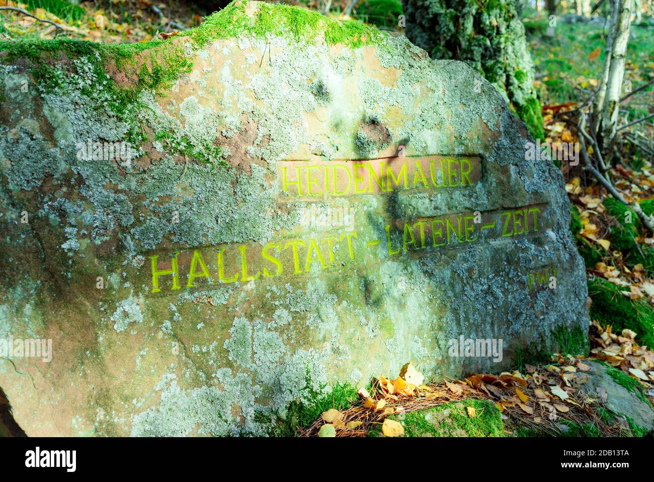 Heidenmauer vicino a Bad Dürkheim, Palatinato meridionale. L'anello fu costruito dai Celti intorno al 500 a.C. come parte di un insediamento nella foresta di Palatinato. Foto Stock