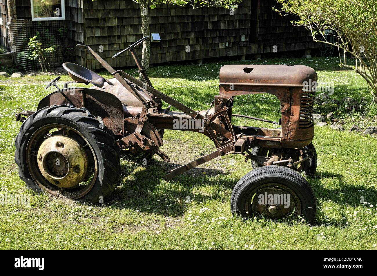 Un vecchio trattore Massey Harris abbandonato in un campo senza motore e lasciato arrugginire e decadere. Foto Stock