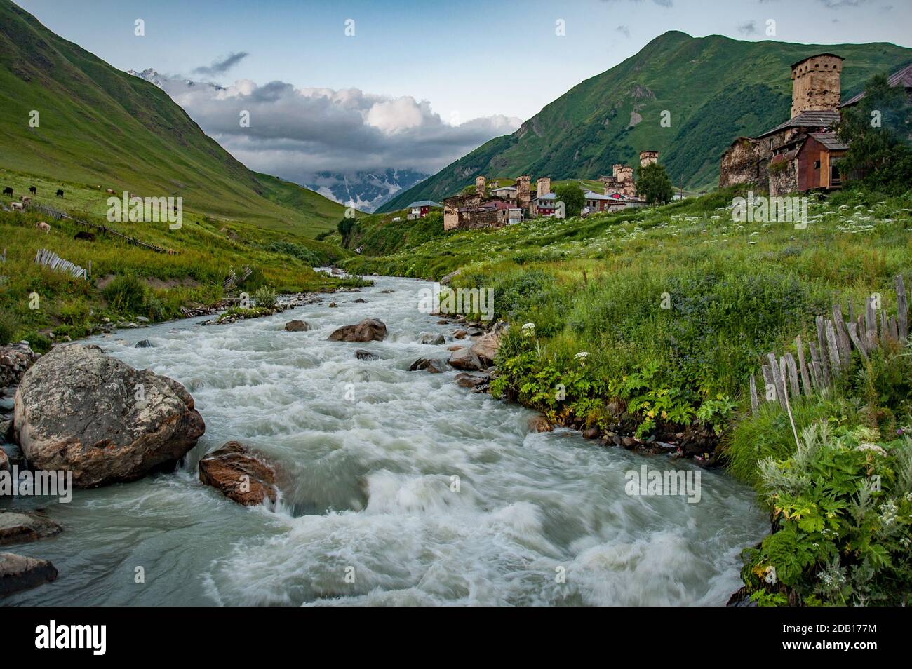 Il fiume Patara Enguri corre lungo il bordo occidentale di Ushguli nella regione di Svaneti in Georgia. Il fiume emerge dall'alto Caucaso vicino Shkhara e. Foto Stock
