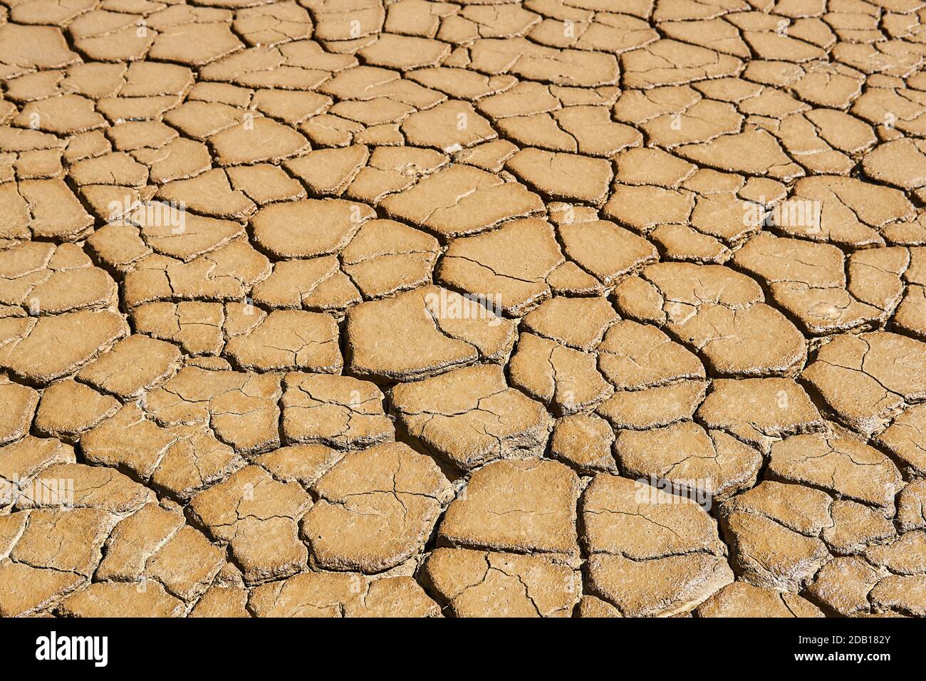 paesaggio - umido, gradualmente asciugando terreno di argilla con crepe di fango Foto Stock