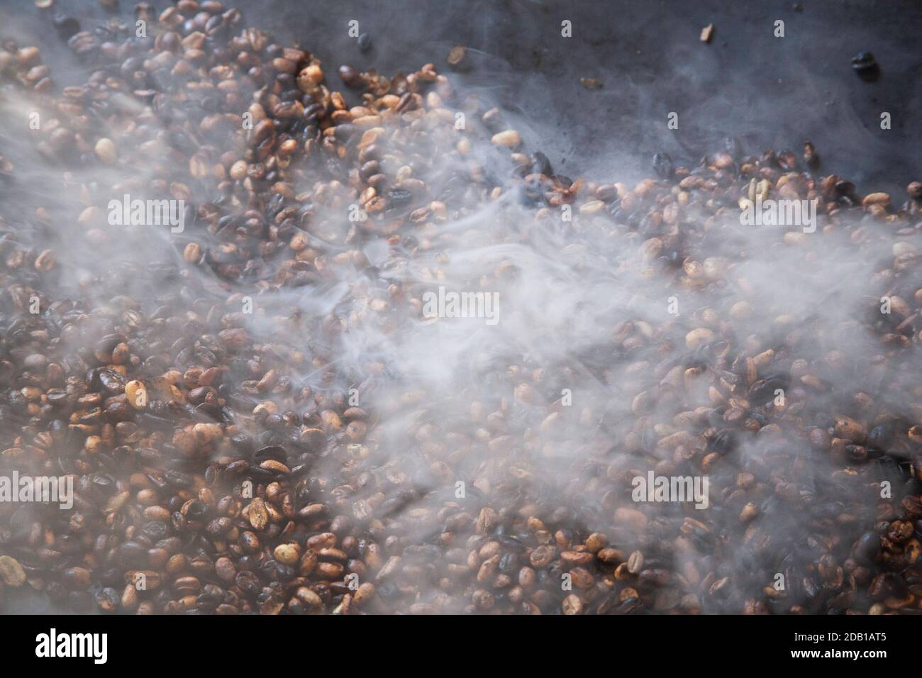 Torrefazione di fagioli di caffè etiopi, Etiopia, Africa orientale Foto Stock