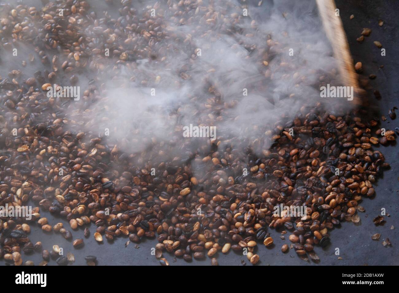 Torrefazione di fagioli di caffè etiopi, Etiopia, Africa orientale Foto Stock