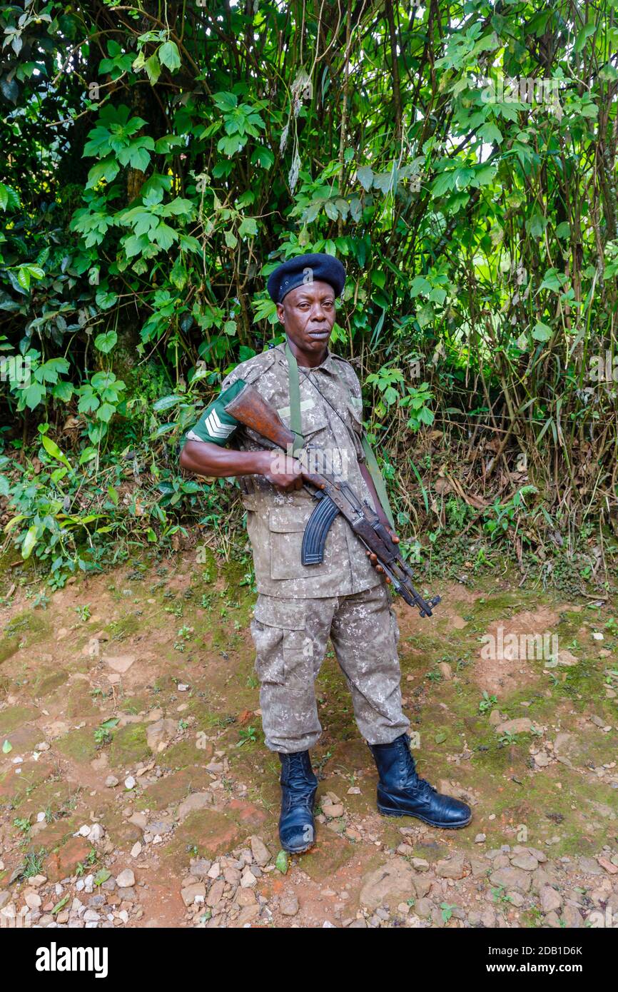Guardia di sicurezza armata locale Africana surly Looking con un fucile d'assalto fuori dall'Engagi Lodge Hotel a Bwindi impenetrabile Foresta, Uganda Foto Stock