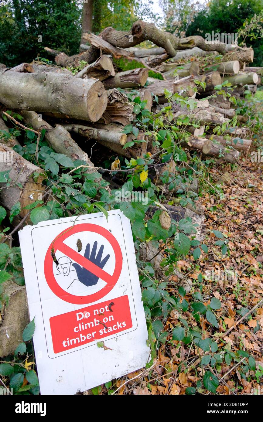 Tagliare i tronchi di legno con un cartello di avvertimento contro l'arrampicata su pila. Foto Stock