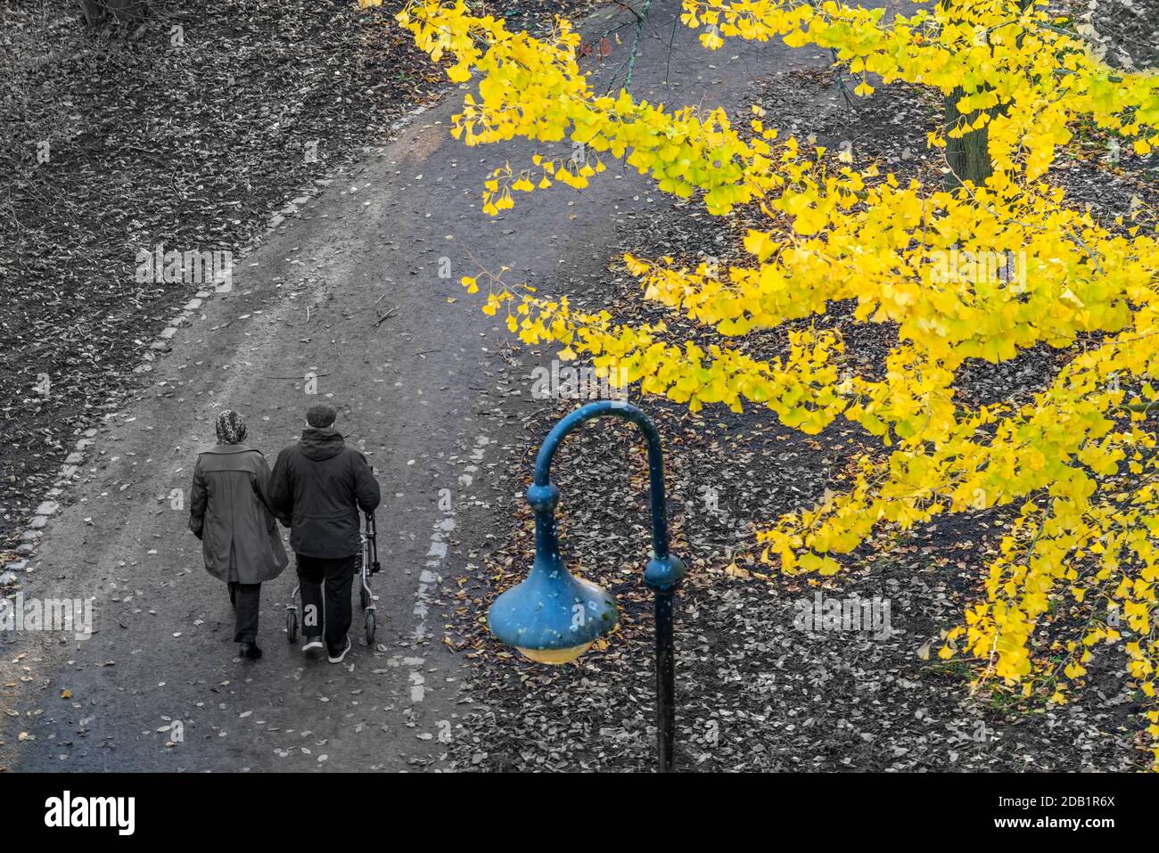 Anziani, anziani, coppie, uomini con un camminatore, in autunno fare una passeggiata in un parco cittadino, Foto Stock