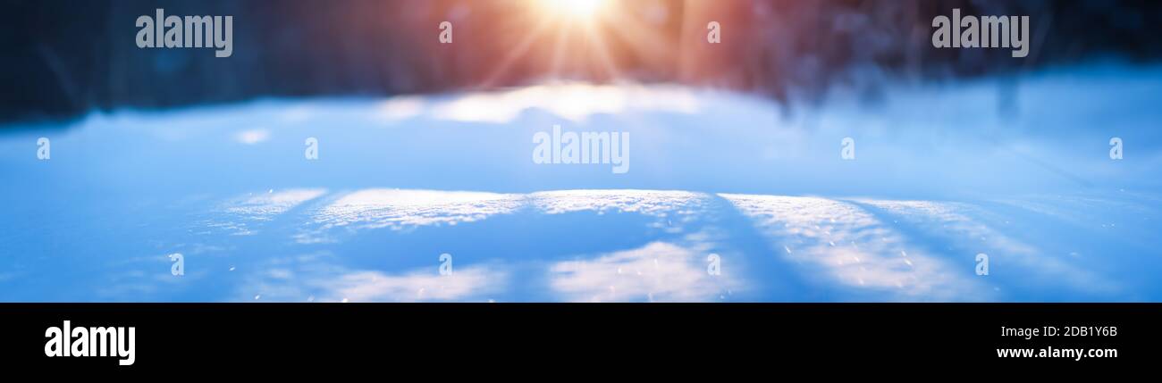 Inverno neve di fondo con neve frizzante in giornata di sole Foto Stock