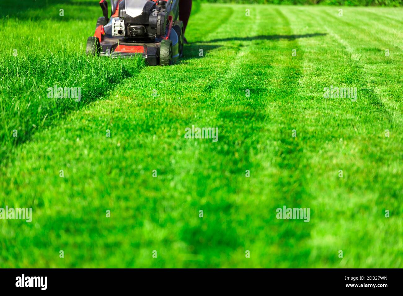 Tosaerba il taglio di erba verde nel cortile posteriore Foto Stock