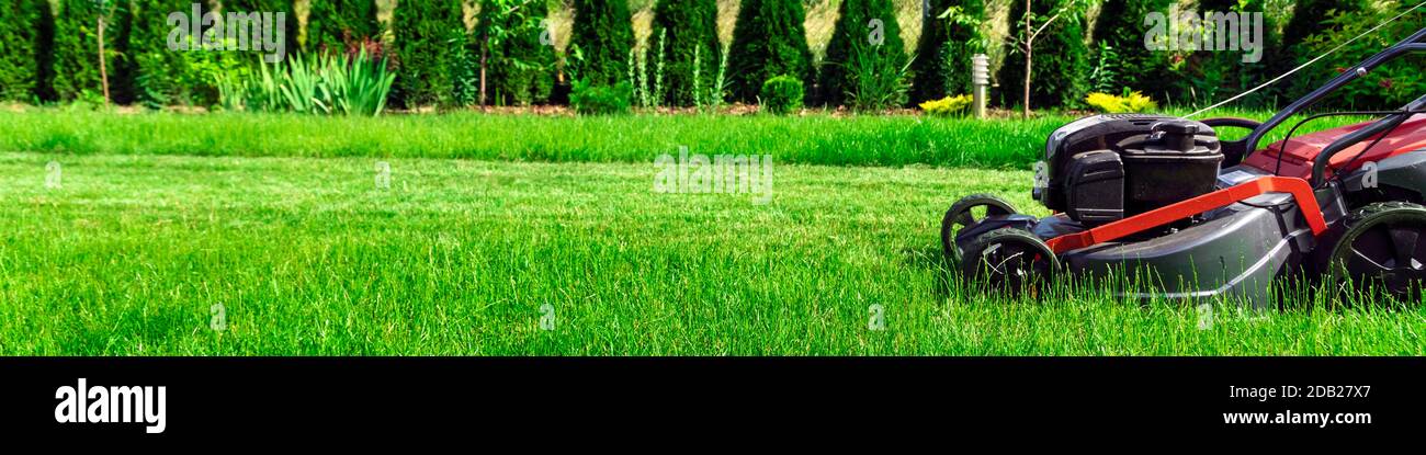 Tosaerba il taglio di erba verde nel cortile posteriore Foto Stock